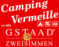  - Sputnik-Bikeshop und Werkstatt Zweisimmen