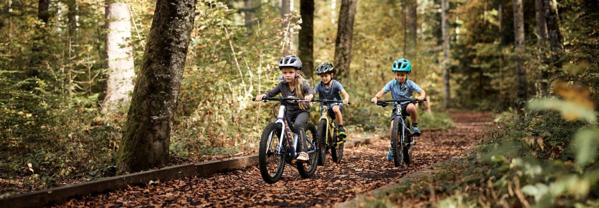  - Sputnik-Bikeshop und Werkstatt Zweisimmen